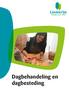 Dagbehandeling en dagbesteding