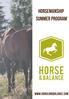 Horsemanship summer program