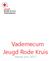 Vademecum Jeugd Rode Kruis Versie juni 2017