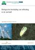 Biologische bestrijding van wittevlieg in de sierteelt