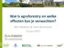 Wat is agroforestry en welke effecten kan je verwachten?