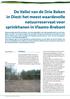 in Diest: het meest waardevolle natuurreservaat voor sprinkhanen in Vlaams-Brabant