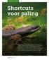 Shortcuts voor paling