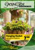 Hanging Basket met de mooiste hangplanten Diverse soorten. van 10,95 voor. 19e jaargang nr