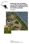 Onderzoek naar het belang van de Nieuwe Stadse Zeedijk bij Stad aan t Haringvliet voor de noordse woelmuis
