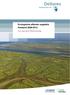 Ecologische effecten suppletie Ameland Interim rapportage ihkv KPP B&O Kust Ecologie