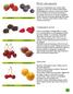 FRUIT INFORMATIE. Voedingswaarde van fruit. Soorten fruit