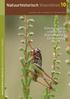 Natuurhistorisch Maandblad. Entomologisch onderzoek in Nationaal Park De Meinweg