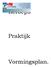 Beroeps. Praktijk. Vormingsplan.