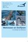 Walvissen en Dolfijnen. in de Straat van Gibraltar