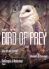 Uitgave 2 - Mei Little Owls. Bird of Prey. Wat eet een kerkuil? Pagina 8. Valkeniers en hun vogel Pagina 4. Roofvogels in Nederland Pagina 6