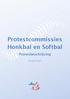 Protestcommissies Honkbal en Softbal. Procesbeschrijving