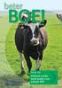 BOE! SPECIAL VOOR RUNDVEEHOUDERS