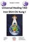 Universal Healing TAO Iron Shirt Chi Kung I