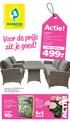 499.- Actie! Voor de prijs zit je goed! ACTIE! GRATIS KORTING 3 VOOR. Tuinhortensia