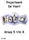 Projectwerk De Vaert. Groep 5 t/m 8