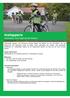 Instappers. activiteiten voor beginnende fietsers