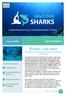 Petitie van start Een oproep aan Staatssecretaris Van Dam op haaien te beschermen