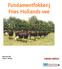 Fundamentfokkerij Fries Hollands vee