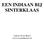 EEN INDIAAN BIJ SINTERKLAAS. Auteur: Evert Roest