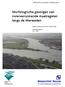 Morfologische gevolgen van rivierverruimende maatregelen langs de Merweden