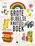 het grote bijbelse knutsel boek Fiona Hayes