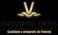 Vreugdenhil Yachts. presents: Brazil and the YACHT INDUSTRY