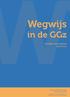 Wegwijs in de GGz. Kwaliteit van websites rapportage. Stichting Zelfbeschadiging Stichting Borderline