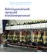 Basisdocument brandweer Nederland Landelijke rapportage mei-juni 2017