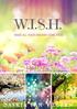 W.I.S.H. Saskia van Velzen MAKE ALL YOUR DREAMS COME TRUE. created by