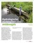 Hydrologische maatregelen voor weidevogels