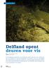 Delfland opent deuren voor vis