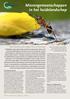 Mierengemeenschappen in het heidelandschap