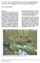 Op zoek naar Vloedschedemos (Timmia megapolitana) in de Otter- en Sterlinggriend in de Sliedrechtse Biesbosch