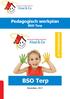 Pedagogisch werkplan BSO Terp