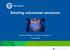 Scholing colorectaal carcinoom. Jeanine Roodhart, internist-oncoloog i.o. 9 april 2018
