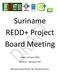 Suriname REDD+ Project Board Meeting
