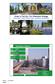 Green & The City: The Rotterdam Strategy Annemieke Fontein Head of dep. Landscape architecture