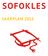 SoFoKleS. Jaarplan 2013