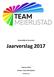 Inhoudelijk en financieel. Jaarverslag Februari 2018 Bestuur Team Meierijstad Versie 1.0
