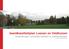 beeldkwaliteitplan Loenen en Veldhuizen handreikingen ruimtelijke kwaliteit en welstandskader concept - 21 februari 2012