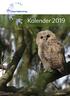 Kalender 2019 jonge bosuil foto: Boudewijn Schreiner