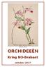 Barkeria uniflora ORCHIDEEËN. Kring NO-Brabant