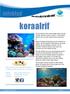 koraalrif infoblad Het koraalrif (met de koralen en alle andere dieren en planten die er leven) gaan we in dit infoblad uitgebreid bekijken.