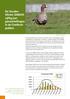 De Gouden Winter 2008/09: vijftig jaar ganzentellingen in de Oostkustpolders