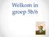 Welkom in groep 5b/6