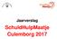 Jaarverslag. SchuldHulpMaatje Culemborg 2017