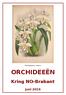 Odontoglossum crispum ORCHIDEEËN. Kring NO-Brabant