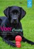 Voer Creatief. Stop waarde in de relatie met je hond in plaats van in zijn voerbak. Dogs Talk Hondentraining & Gedrag