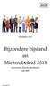 Versie juli Brochure over. Bijzondere bijstand en Minimabeleid 2018 (inwoners Steenwijkerland)